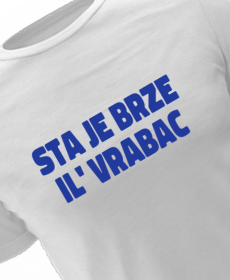 Sta je brze il' vrabac